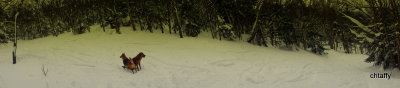 Downhill panoramic