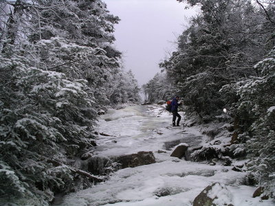 Ice on Algonquin