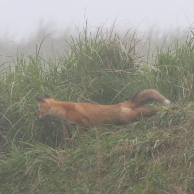 Wake-up stretch