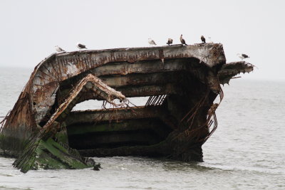 S. S. Atlantus