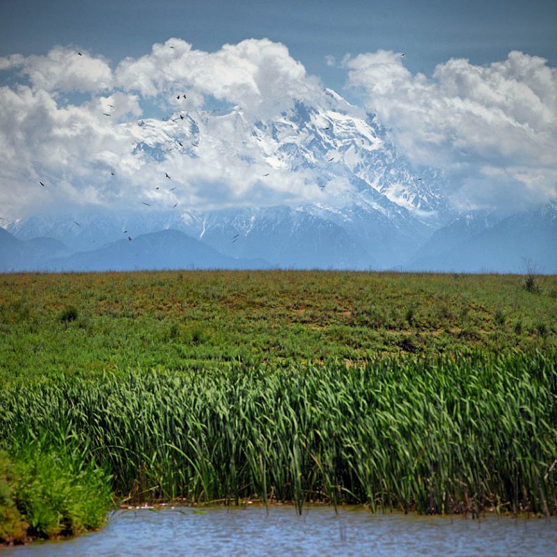 IMG_9346_hdr_s.jpg