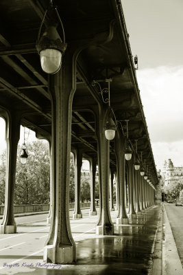 bridge Bir Hakeim