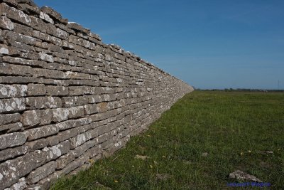 King Charles Xs Wall