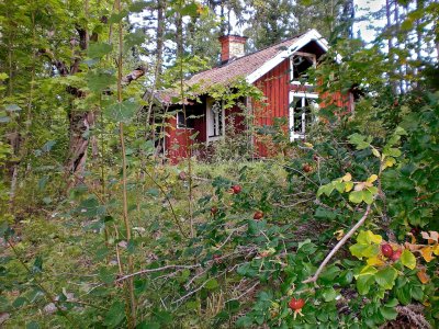 Odelbo Ivars cottage