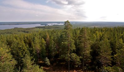 This is Sweden - 54% of the total area are forests and 9% lakes