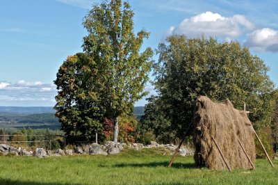 Hay-drying rack and view from Skattlsberg.
