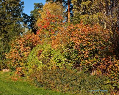 Autumn colors.