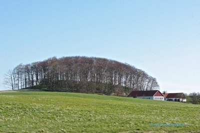 Rural landscape in Skne