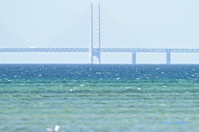 Bridge over resund (between Sweden and Denmark)