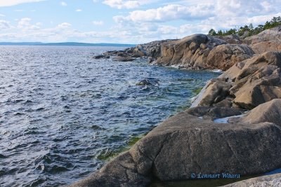 Seashore - view towards Alnn