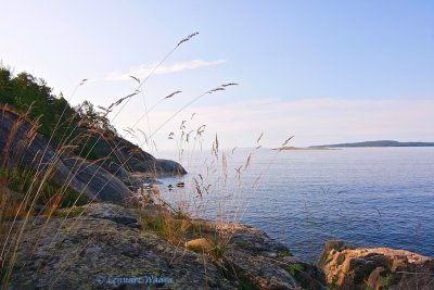 View towards the Gulf of Bothnia in early morning light.