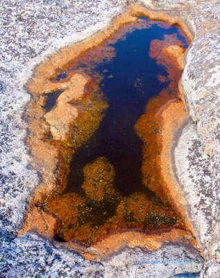 Small pool of water on the seaside cliffs