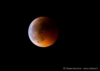 Eclissi-luna-2011---5434