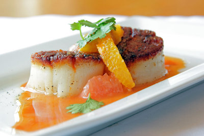 _MG_9008ScenicCafe.jpg