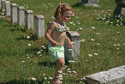 CRW_3519.jpg
