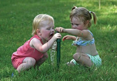 CRW_3530.jpg