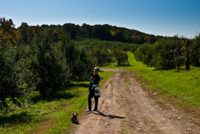 apple picking-103.jpg