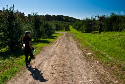 apple picking-104.jpg