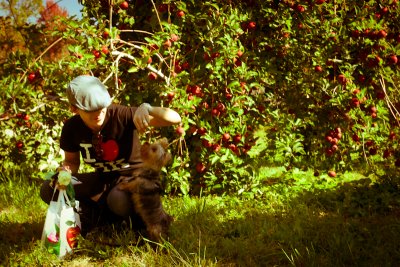 apple picking-112.jpg