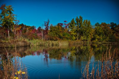 apple picking-114.jpg