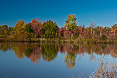 apple picking-120.jpg