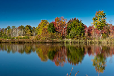 apple picking-122.jpg