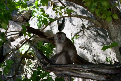 Koh Phi Phi-117.jpg
