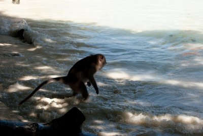 Koh Phi Phi-119.jpg