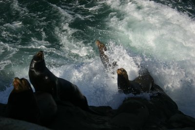 IMG_9601.JPG