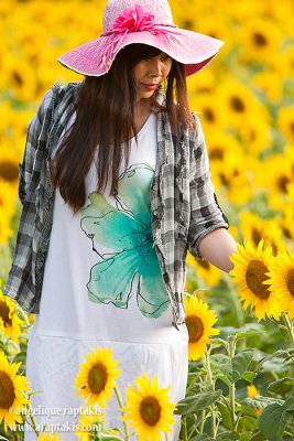 Sunflower Fields