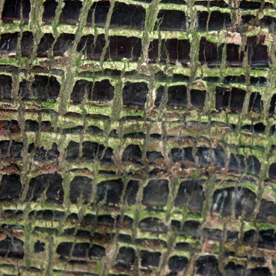 2012-38