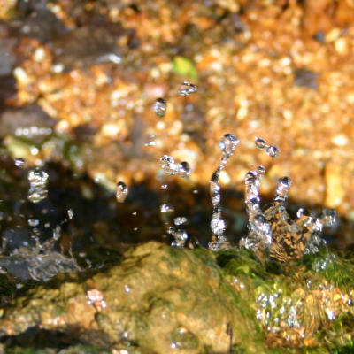 Waterdrops upsite down