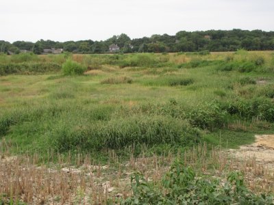 Village Creek Drying Beds