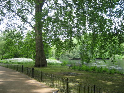 St. James Park