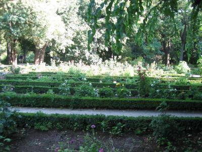 Royal Botanical Gardens right across from the Prado Musuem