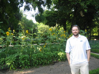 sunflowers... and then ...