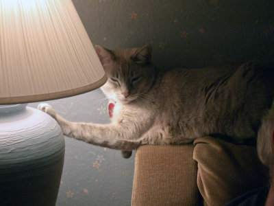 Original Pogo Image from Judith