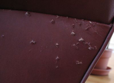 Even leather chairs...