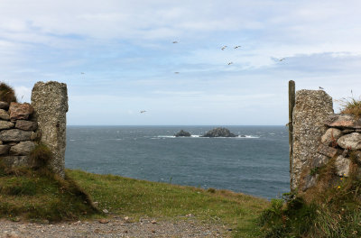 Near Cape Cornwall (7/6/2011)