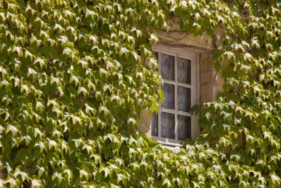 Ivy, Fontenay (6/27/2011)