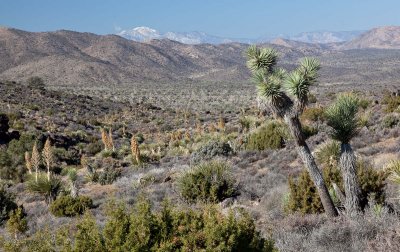 Lost Horse Valley (12/14/2011)