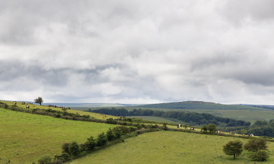 Farmland, Challacombe Farm (7/4/2012)