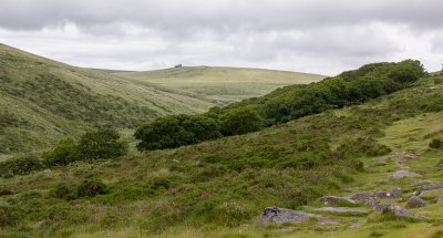 Wistman's Wood (7/5/2012)