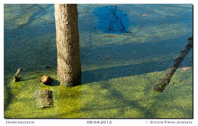 20120408142422.jpg