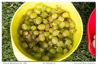20120901102255.jpg