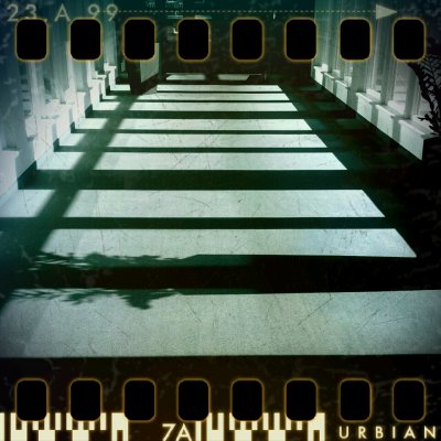 February 22nd I: The almost hidden plant (Shadow Series II)