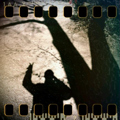 February 22nd II: The Double V - branching trees & humans (Shadow Series III)