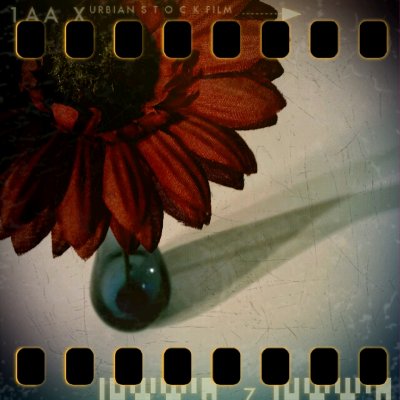 March 9th: Artificial flower