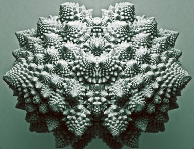 Romanesco