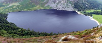 Lake Guinness Panorama